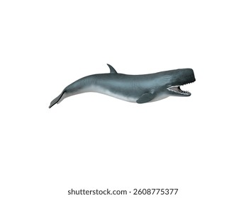 Miniature of Sperm Whale Illustration