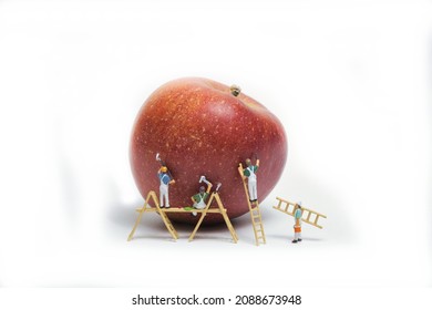 miniature team of painters with wooden ladder and scaffolding paints an apple. white background, copy space - Shutterstock ID 2088673948