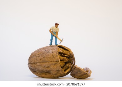 miniature worker with hoe while opening a walnut, white background