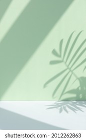 Minimal Abstract Background For The Presentation Of A Cosmetic Product. Premium Podium With A Shadow Of Tropical Palm Leaves On A Pastel Green Wall And Gray Table.