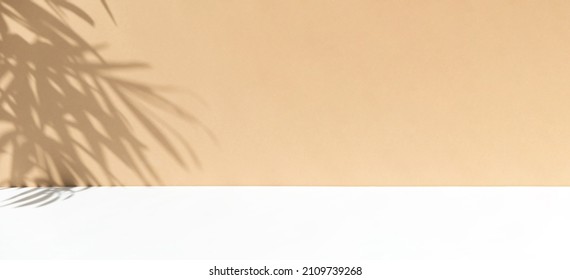 Minimal abstract background for the presentation of a cosmetic product. Premium podium with a shadow of tropical palm leaves on a beige wall and white table. Showcase, display case. Banner - Shutterstock ID 2109739268
