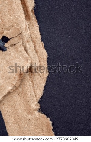 Minimal abstract composition featuring torn cardboard edges against a dark black background with natural texture and copy space