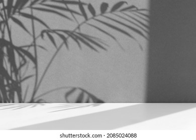Minimal abstract gray-white background for the presentation of a cosmetic product. Premium podium with a shadow of tropical palm leaves on a gray wall and white table. Showcase, display case.