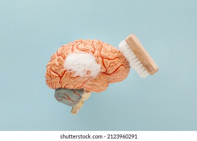 Minimal abstract scene with soapy human brain model and scrubbing brush on isolated pastel blue background. Mental health, brain fog or health care treatment. Cleansing or brainwashing concept.