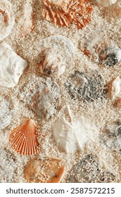 Minimal aesthetic seashells pattern on beige sand, natural sea oceanic and summer textured background, summer relaxation, top view photo with delicate pastel colored shell, rest beach theme wallpaper