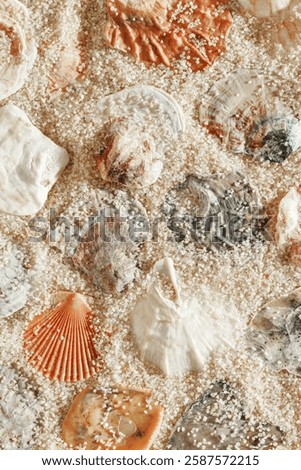 Minimal aesthetic seashells pattern on beige sand, natural sea oceanic and summer textured background, summer relaxation, top view photo with delicate pastel colored shell, rest beach theme wallpaper