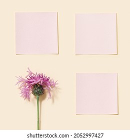 Minimal Background With Purple Thorny Wild Flower And Pink Paper Sticky For Notes Or Messages, Empty Blank Small Papers For Text Reminders.  Feminine Mock Up For Planning, Goals, To Do List. 