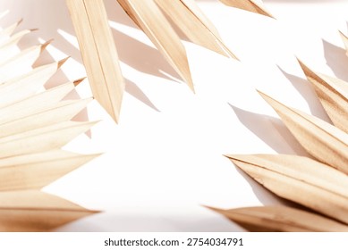 Minimal composition with dried leaves casting soft shadows on a light background. Natural abstract pattern with warm tones and elegant botanical aesthetics