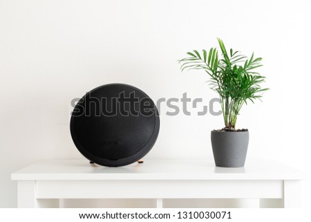 Minimal composition, scandinavian nordic hygge style, home interior - portable speaker, evergreen plant, white shelf