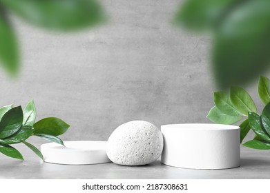 Minimal Cosmetic Background For Product Presentation. Podium And Green Leaf Of Zamioculcas On Gray Color Background