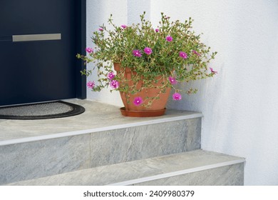 Minimal doorstep outside of modern house. Elegant middle class suburban front door with welcome mat and pink flower in pot. Morning on porch. Aromatic balcony. Fresh blossom. Residential street. Stair