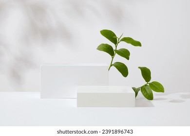Minimal empty display product presentation scene. Green tea leaves and rectangular podiums decorated on white background with natural shadow leaves. Advertising photo
