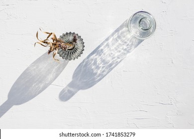 Minimal flat lay glass vases with shine and shadow projected on white textured surface background, soft dried flowers. - Shutterstock ID 1741853279