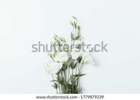 Similar – White flowers on white