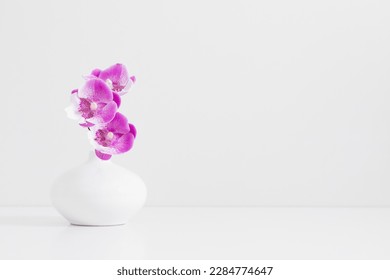 Minimal floral background with orchid. Pink orchid flower in white vase isolated on shelf and on white wall background - Powered by Shutterstock