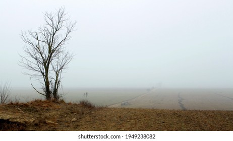An Minimal foggy desolate landscape