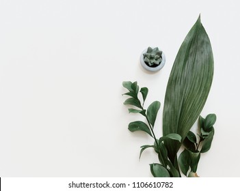Minimal Green Leaf On Pastel Background. Flat Lay, Top View, Copy Space 