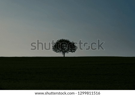 Similar – Image, Stock Photo Emotions | a day comes to an end. Tree silhouette in evening light