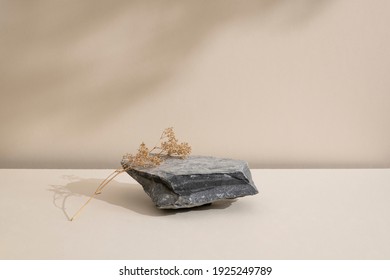 Minimal Modern Natural Beauty. Background For Branding And Product Presentation. Still Life Mock Up Photo Of A Gray Stone And A Dry Flower With Long Shadow On Beige Table.