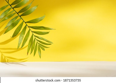Minimal modern product display on textured gray and yellow background with fresh palm leaves and shadows - Shutterstock ID 1871353735