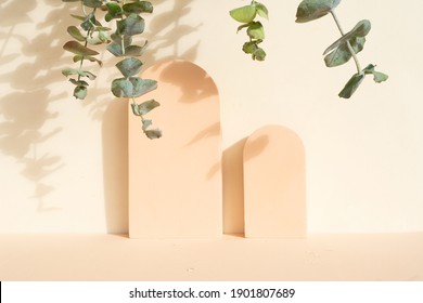 Minimal modern product display on beige background with eucaliptus leaves