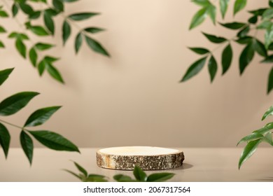 Minimal modern product display on neutral beige background. Wood slice podium and green leaves. Concept scene stage showcase for new product, promotion sale, banner, presentation, cosmetic - Shutterstock ID 2067317564