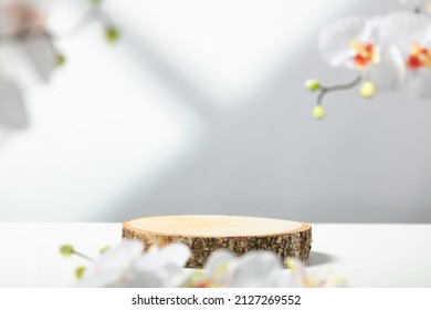 Minimal modern product display on white background. Wood slice podium and white orchid  flowers. Concept scene stage showcase for new product, promotion sale, banner, presentation, cosmetic