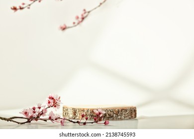 Minimal modern product display on white background. Wood slice podium and spring brunches. Concept scene stage showcase for new product, promotion sale, banner, presentation, cosmetic