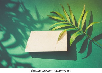 Minimal Modern Product Display On Reach Green Background With Palm Leaves And Shadow Overlay, Top View