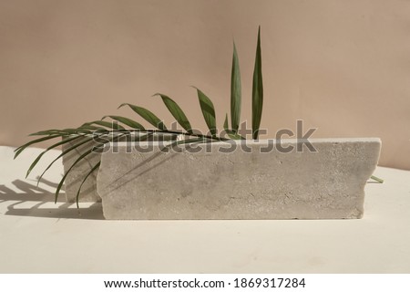 Minimal modern product display on neutral beige background with podium with palm leaves, toned