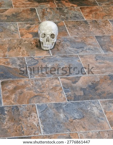 Minimal mortality concept with isolated skull
