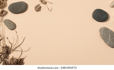 Minimal natural beige background flatlay with empty space. Template for branding and product presentation. Still life photo, table with rocks and dry plants.top view