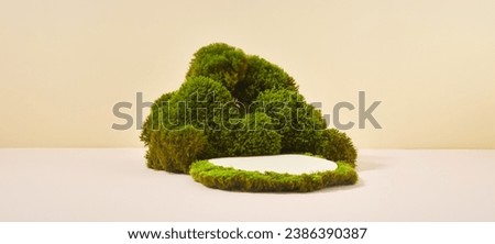 Minimal product display on green moss beige background. Wood slice podium. Concept scene stage showcase for new product presentation 