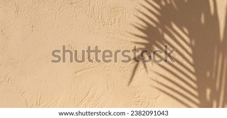 Minimal product on Texture ackground with palm shadow on beige plaster wall Texture