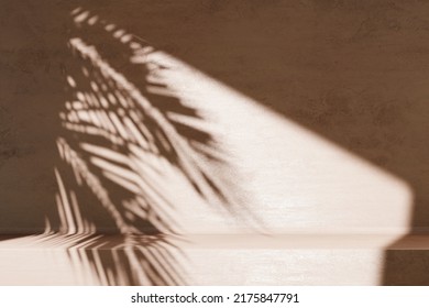 Minimal product placement background with palm shadow on concrete wall. Luxury summer architecture interior aesthetic. Modern tropical mockup design.