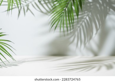 Minimal product placement background with palm shadow on plaster wall. Luxury summer architecture interior aesthetic. Creative product platform stage mockup.