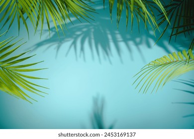 Minimal product placement background with palm shadow on blue wall. summer sky concept. Creative product platform stage mockup.