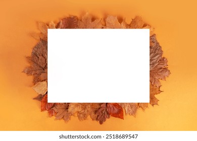 Minimal sparse autumn background with fall leaves top view copy space