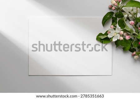 Minimal spring stationery mockup with blank white paper and blooming apple tree branch on white background. Elegant floral flat lay with soft natural light and copy space.