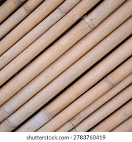 Minimal square bamboo texture featuring warm golden diagonal lines and natural organic detail. Perfect for social media templates, eco product branding, tropical visual concepts, and premium rustic texture backgrounds.