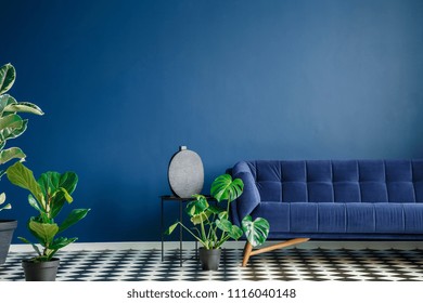 Minimal style interior with big dark blue couch standing on a checkerboard floor against monochromatic empty wall. Lots of green plants. Real photo. - Shutterstock ID 1116040148