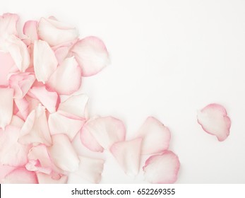 Minimal Style. Minimalist Fashion Photography. Pink Rose Petals Set On White Background. Flat Lay. Top View