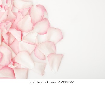 Minimal Style. Minimalist Fashion Photography. Pink Rose Petals Set On White Background. Flat Lay. Top View