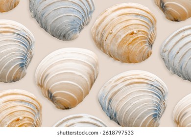 Minimal style pattern seashells beige blue colored on neutral background. Natural Shells of mollusk, summer nautical life style, beauty nature, organic shapes, repeat composition, soft pastel color