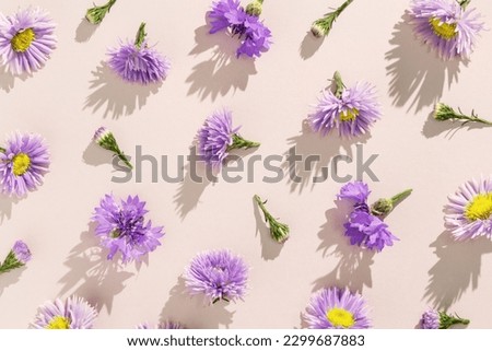 Minimal trend pattern of autumn lilac blue flowers. Flower bushy aster and cornflower, autumn garden plants. Floral flat lay of blossoms with shadows at sunlight on beige background. Top view pattern