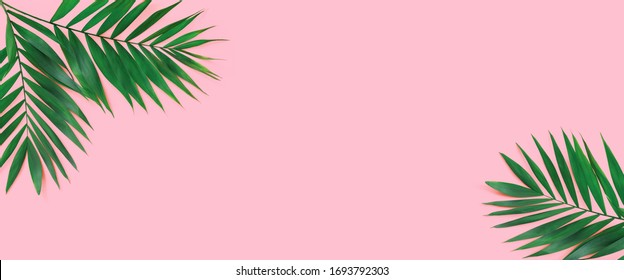 Minimal Tropical Green Palm Leaf On  Pink Paper Background. 
Flat Lay Top View With Copy Space For  Your Text.