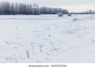 Minimal winter landscape with frozen grass, snowy field and bare trees on the background - Powered by Shutterstock