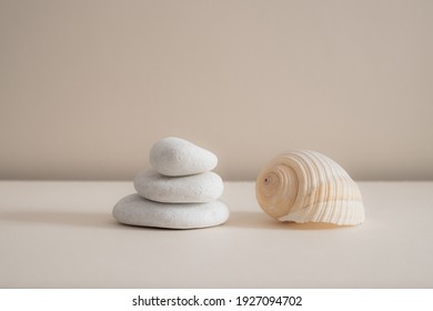 Minimal Zen Natural Beauty. Background For Branding And Product Presentation. Still Life Mock Up Photo Of White Marble Stones And A Big Sea Shell With Long Shadow On Beige Table.