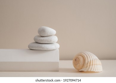 Minimale Zen natürliche Schönheit. Hintergrund für Markenbildung und Produktpräsentation. Stillleben Mockup Foto von weißen Marmorsteinen und eine große Muschel mit langem Schatten auf beigem Tisch.