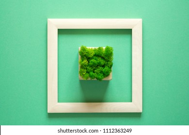 Minimalism. Masterpiece in wooden frame. Moss in pot. Top view. Flat lay. Eco concept.